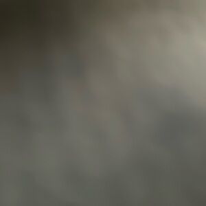 Carhartt Women's Original Fit Straight Leg Blue Jeans Size 12